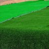 Artificial Grass turf