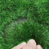 Artificial Grass turf