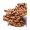 Pecan nuts bulk supply...