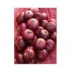 Fresh Red Onions New H...