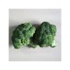 Fresh broccoli availab...