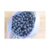 Frozen Blueberry offer...