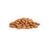 Apricot kernels availa...