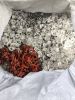 Silicone Rubber Scrap