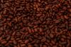 Raw cocoa beans