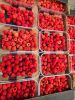 Raspberry