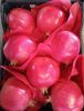 Wonderful Pomegranates