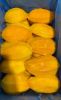 Egyland IQF mango cube...
