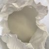 99% Caustic Soda Pearls