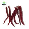 Erjingtiao Dry Chili S...