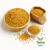 Fenugreek 