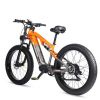 Electric Bicycle