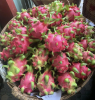 Export Grade Natural F...