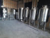 300L craft brewing equipment