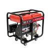 3000 watt portable ele...