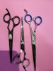hair scissors 