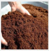 Premium Cocopeat for S...