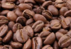 Premium Coffee Beans  ...
