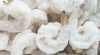 Frozen Shrimp (HOSO / ...