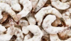 Frozen Shrimp  Wholesa...