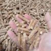ENplus Wood Pellets &A...