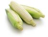Premium White Maize fo...