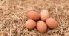 Selling Organic Free-R...