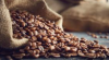 Robusta Coffee Beans I...