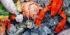 Frozen Fish & Seaf...