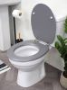 Complete Sanitary Toil...