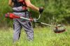 Heavy-Duty Grass Cutte...
