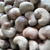 Natural Raw Cashew Nut...
