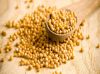 Organic Mustard Seeds ...