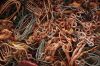 Non Ferrous Metal Scra...