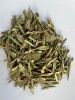 Olive Leaves