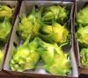 Fresh Dragon Fruit (Ye...