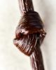 Vanilla Beans Planifolia 
