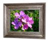 Digital Picture Frames