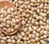 âPREMIUM QUALITY OF "SOYABEAN" FROM BENIN AVAILABLE