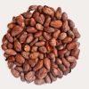Best Price Organic Cocoa Beans Madagascar Cocoa Beans for Gourmet Chocolate
