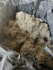 Tire Steel Wire