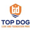 Roof Leaks Repair 