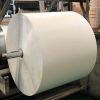 White PE Coated Paper ...