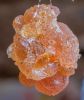 Gum Arabic both Hashab...