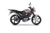 Electric Bicycle with ...