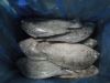 Frozen Tilapia, Frozen...