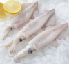 Frozen Squid Wholesale...