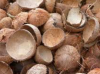 Coconut Shell for Char...