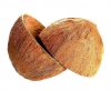 Natural Coconut Shell ...