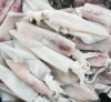 Frozen Squid Whole Cle...